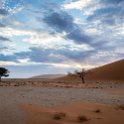 NAM HAR Dune45 2016NOV21 031 : 2016 - African Adventures, Hardap, Namibia, Southern, Africa, Dune 45, 2016, November